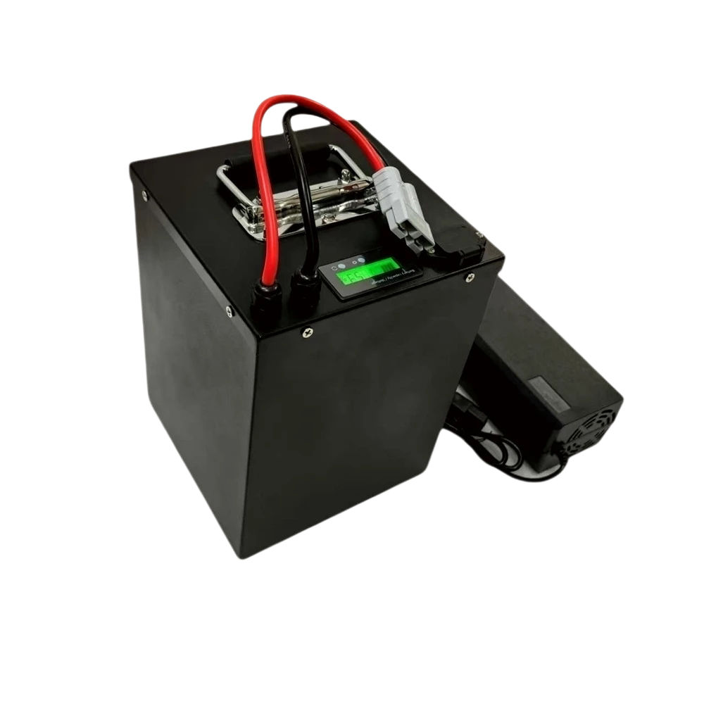 Batterie au Lithium lifepo4, 6 - 72V 40Ah Lifepo4 Battery Pack avis et prix